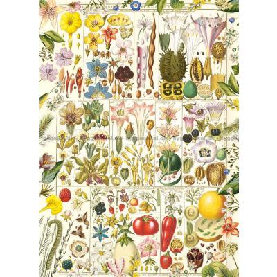 Billede af Botanisk lykke, 1000 brikker