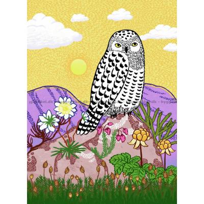 Uglen på fjeldet, 500 brikker