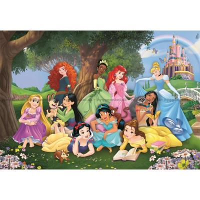 Billede af Disney prinsesser: I slotshaven, 104 brikker