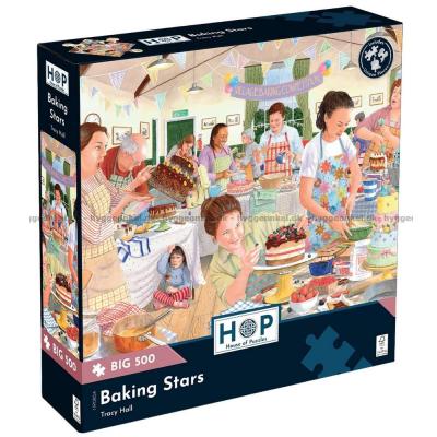 Hall: Kagekonkurrencen, 500 brikker