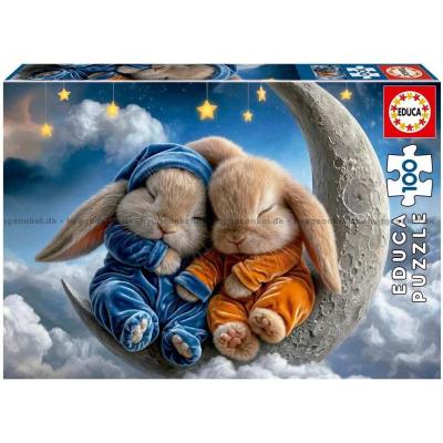 Drømme på månen, 100 brikker