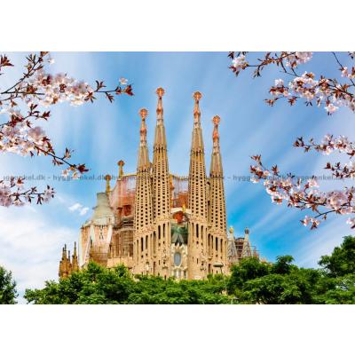 Billede af Barcelona: Sagrada Familia, 1000 brikker
