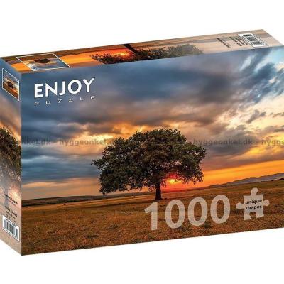 Billede af Solnedgang ved egetræet, 1000 brikker