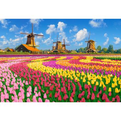 Billede af Farverige tulipanmarker i Holland, 1000 brikker