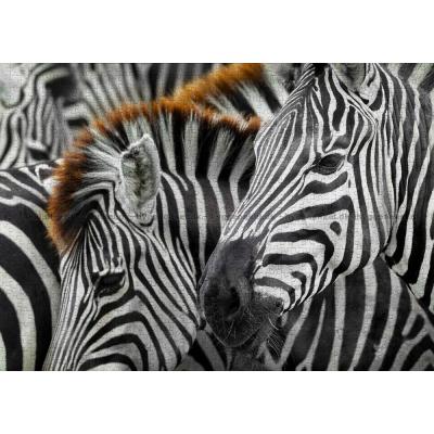 Billede af Zebraflokkens mønstre, 1000 brikker