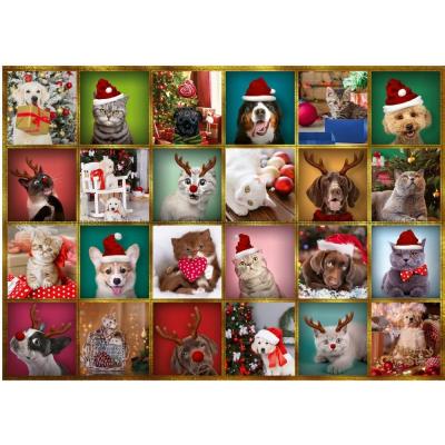 Billede af Julekalender: Hunde og katte, 24x42 brikker