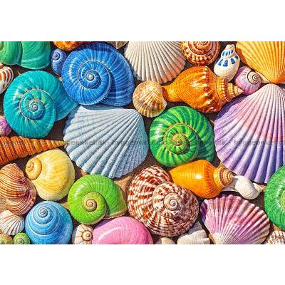 Billede af Farverige strandskaller, 500 brikker
