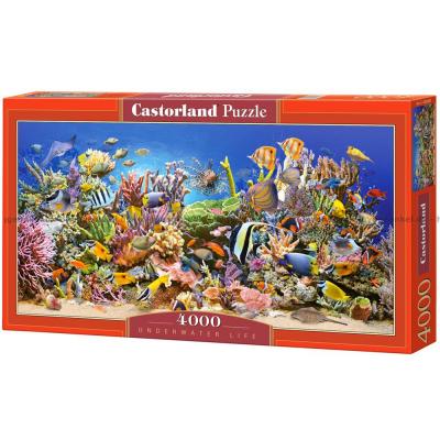 Koralrevets spændende liv - Panorama, 4000 brikker