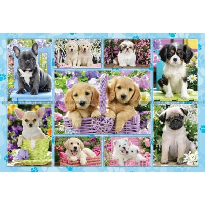 Billede af Hundehvalpe - Collage, 200 brikker