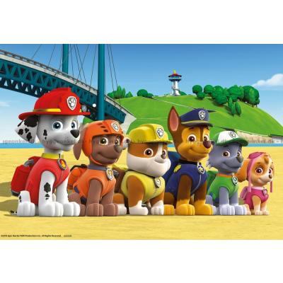 Billede af Paw Patrol, 2x24 brikker
