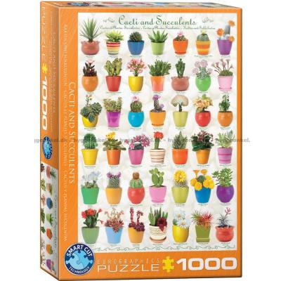 Kaktusser og sukkulenter, 1000 brikker