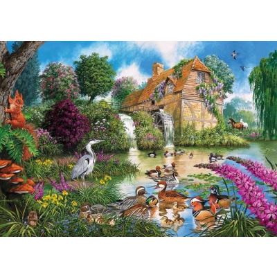 Billede af Francis: Flora og fauna, 4x500 brikker