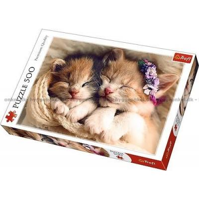 Sovende katte, 500 brikker