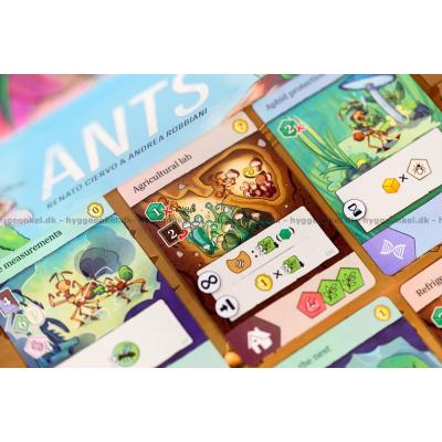 Billede af Ants