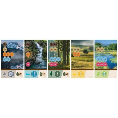 Billede af Cascadia: Rolling Hills - Roll & Write