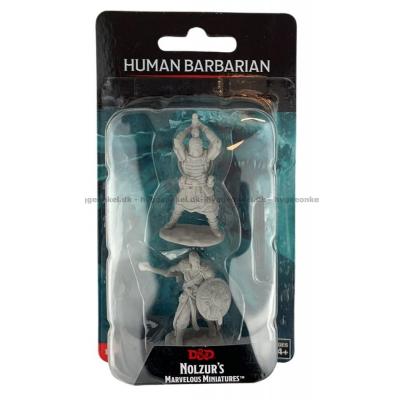 D&D: Nolzurs Marvelous Miniature - Human Barbarian Male
