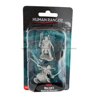 D&D: Nolzurs Marvelous Miniature - Human Ranger Male