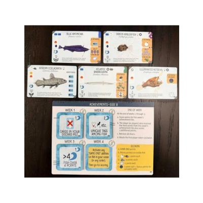Billede af Finspan: Sharks & Reefs
