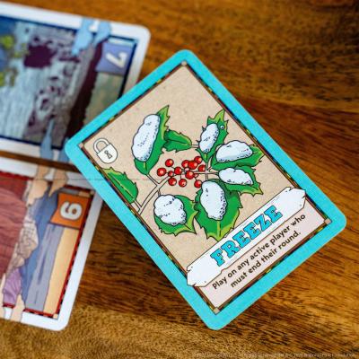 Billede af Flip 7: National Parks