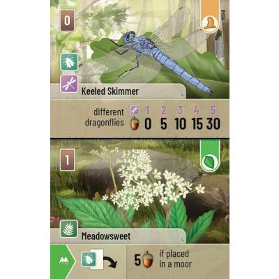 Billede af Forest Shuffle: Dartmoor