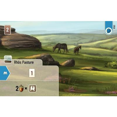 Billede af Forest Shuffle: Dartmoor