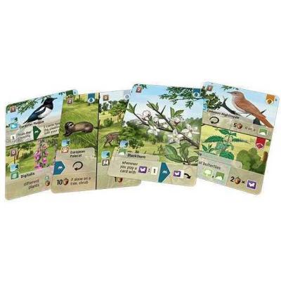 Billede af Forest Shuffle: Woodland Edge