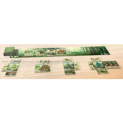 Billede af Forest Shuffle - Engelsk