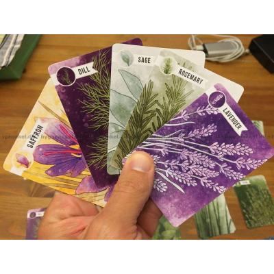 Billede af Herbaceous