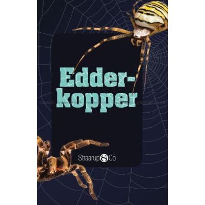 Kortspil: Edderkopper