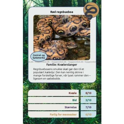 Billede af Kortspil: Farlige slanger