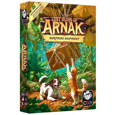 Billede af Lost Ruins of Arnak: Surprise Shipment set skråt oppefra