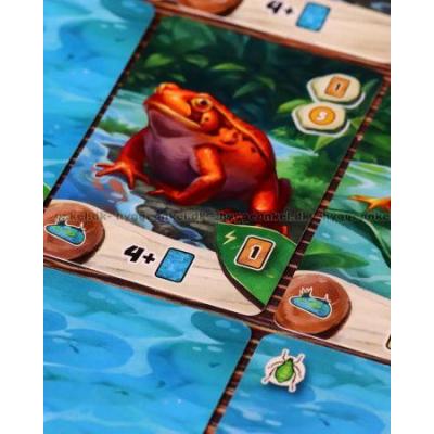 Billede af Pondscape