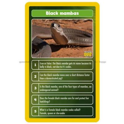 Billede af Top Trumps Quiz: The World of Animals