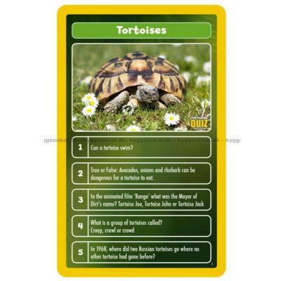 Billede af Top Trumps Quiz: The World of Animals