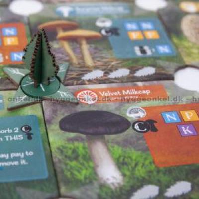 Billede af Undergrove
