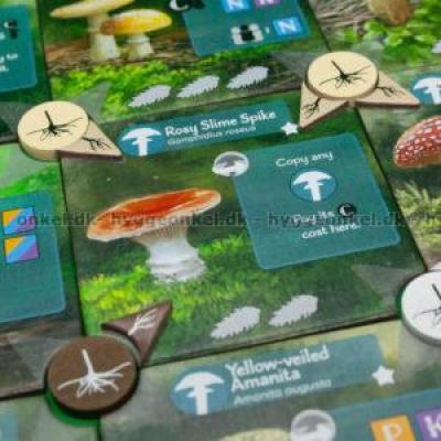 Billede af Undergrove
