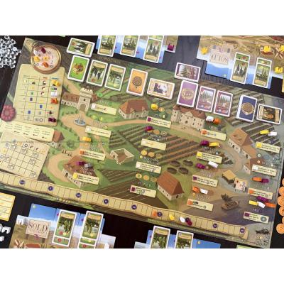Billede af Viticulture: Bordeaux
