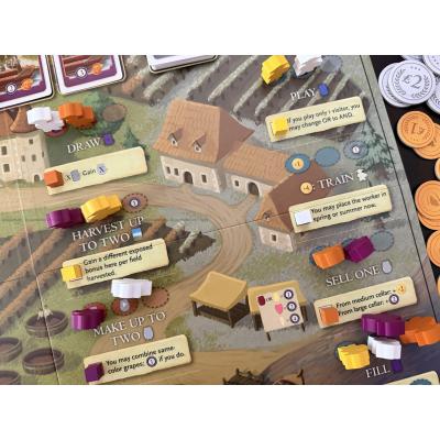 Billede af Viticulture: Bordeaux