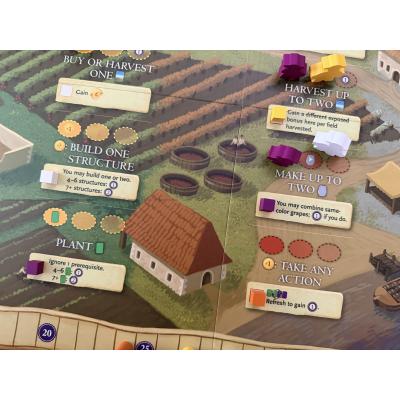 Billede af Viticulture: Bordeaux