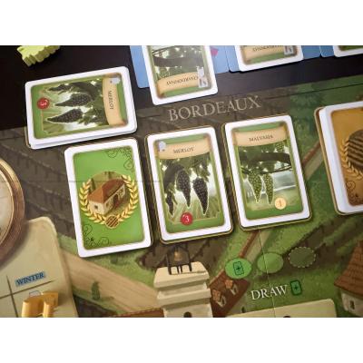 Billede af Viticulture: Bordeaux