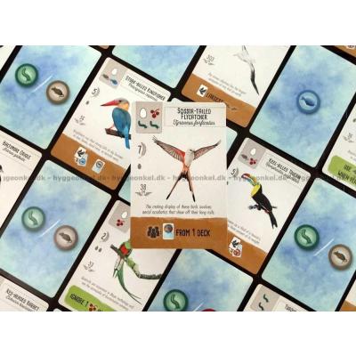 Billede af Wingspan: Pocket - Engelsk