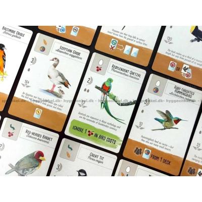 Billede af Wingspan: Pocket - Engelsk